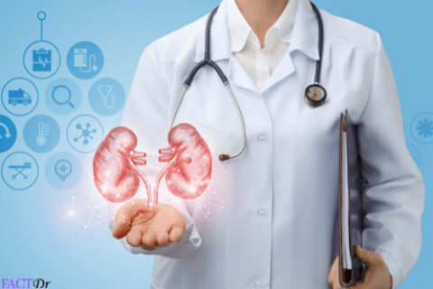 Medical Education Guide, Medical Consulting Group